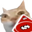 ermReverse emote for Discord