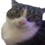erm emote for Discord