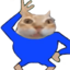ermiFriend emote for Discord