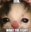 ErmWhatTheFish emote for Discord