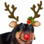 ermMAS emote for Discord