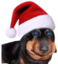Ermxmas emote for Discord