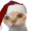 erm emote for Discord