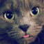 ErikBlep emote for Discord