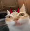 ermvil emote for Discord