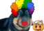 ErmZ emote for Discord