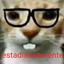 estadisticamente emote for Discord