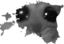 estohnia emote for Discord