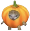Espuki emote for Discord