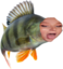 elleBass emote for Discord