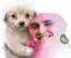 elWadaCONEYyelpanaFrien emote for Discord