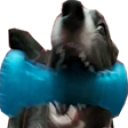 elliemKoti static emote for Discord, Twitch and Slack