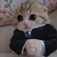 EleganceCat emote for Discord