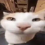eltomi emote for Discord