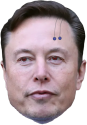 ElonPage static emote for Discord, Twitch and Slack