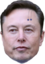 ElonPage emote for Discord