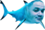 emoneyShark emote for Discord
