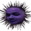 emoneyUrchin emote for Discord