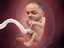 emoneyFetus emote for Discord