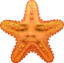 emoneyStarfish emote for Discord