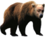 emoneyBear emote for Discord