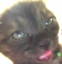 emae emote for Discord