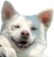 emmyhappy emote for Discord