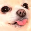 emmaDerp emote for Discord