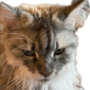 emisNelly static emote for Discord, Twitch and Slack