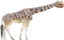 emoneyGiraffe emote for Discord