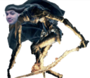 emoneyDancerOfTheBorealValley static emote for Discord, Twitch and Slack