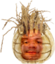 emoneyWilson emote for Discord