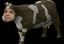 emoneyCow emote for Discord