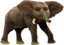 emoneyElephant emote for Discord