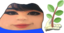 EmimeHerb emote for Discord