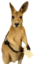 EmotionalSupportKangaroo emote for Discord