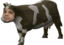 emoneyOSRSCow emote for Discord