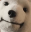 extremelyhappybear emote for Discord