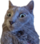 EyWhaaat emote for Discord