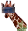 eyeraffe emote for Discord