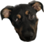 eyeroll emote for Discord