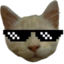 ezz emote for Discord