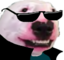 EZDogO emote for Discord