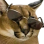 EZ emote for Discord