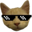 ezz emote for Discord