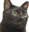 ezraNina emote for Discord