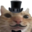 FancyCat emote for Discord