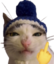 fackyou emote for Discord