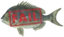 Failfish emote for Discord