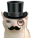 fancybruhcat static emote for Discord, Twitch and Slack